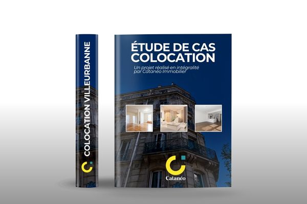 Colocation Catanéo Villeurbanne