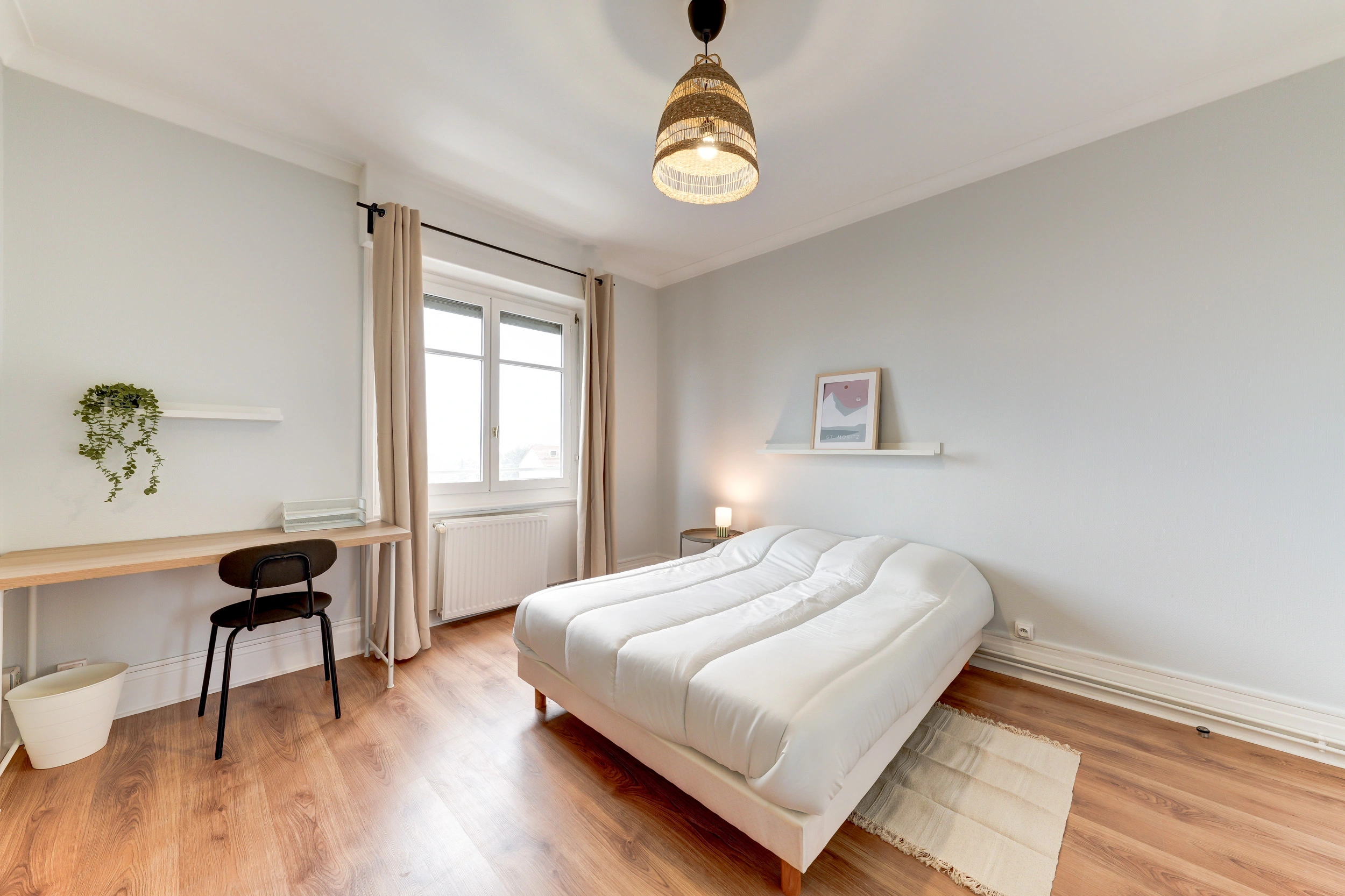 Chambre colocation investissement locatif