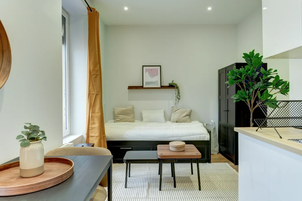 Investissement locatif studio meublé Lyon Catanéo
