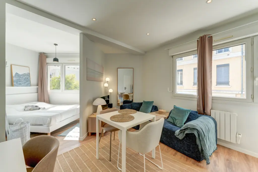 Investissement T1 Bis Lyon 7 Catanéo