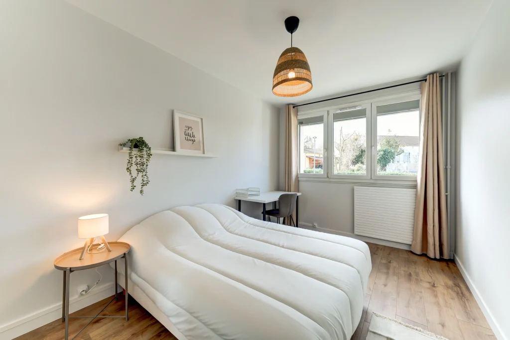 Investissement locatif colocation Lyon 9