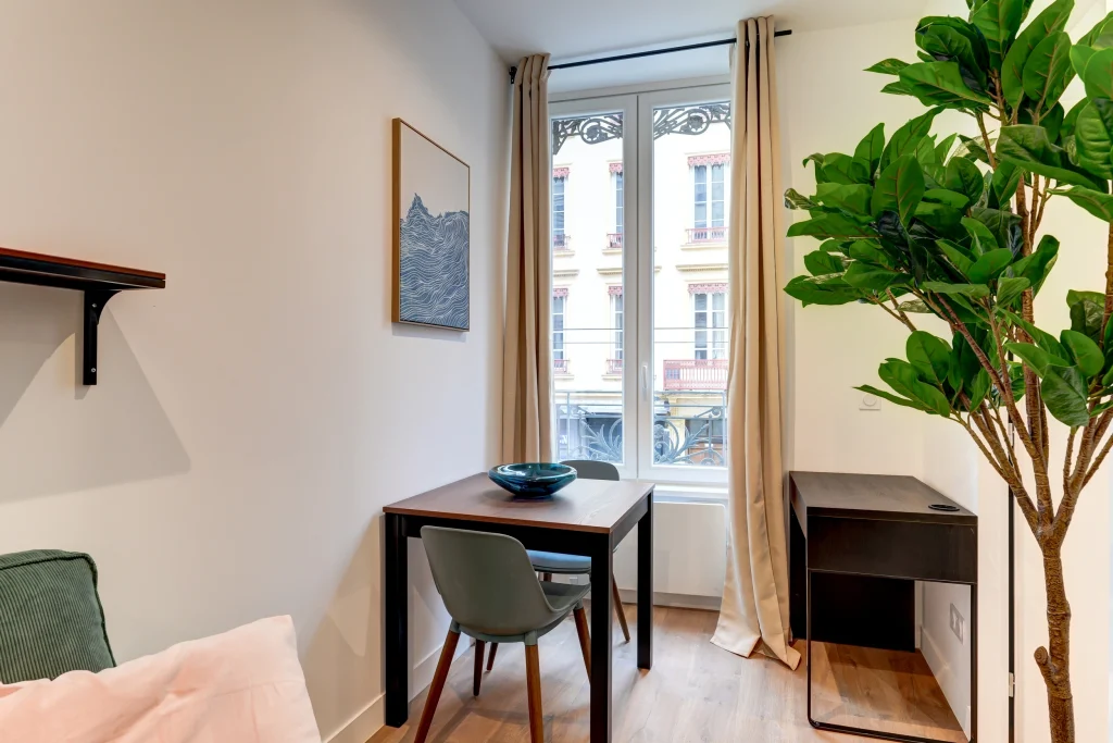 Investissement locatif Lyon 7