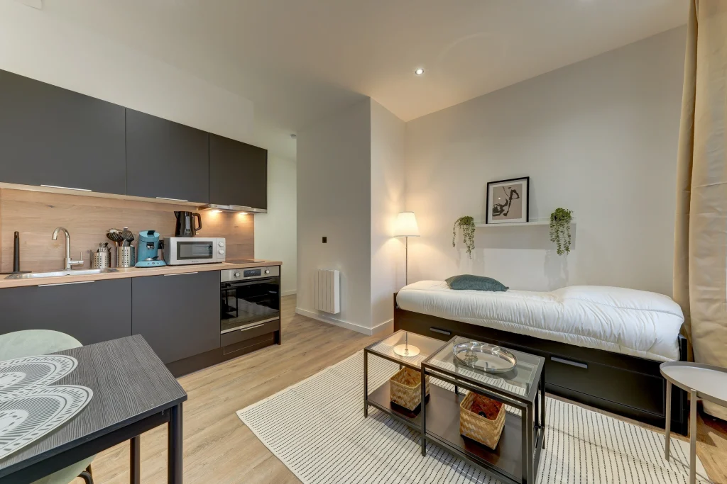 Investissement locatif Oullins