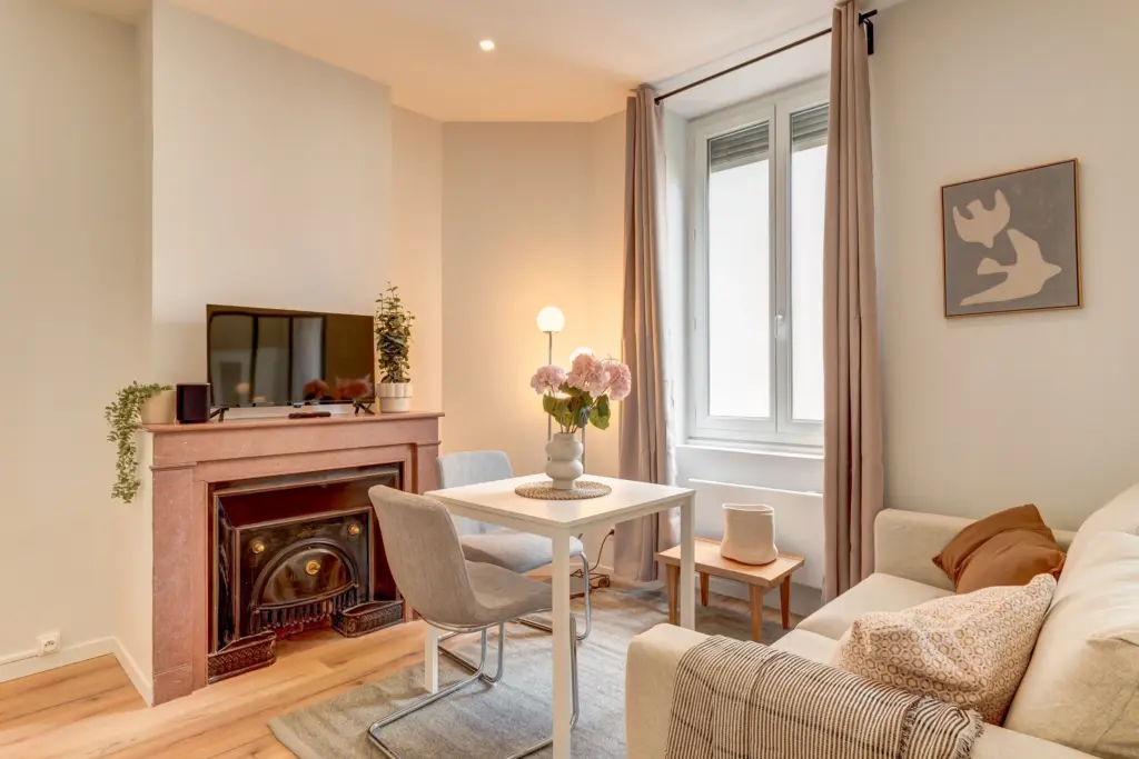 Investissement locatif T1 Bis Villeurbanne métro Catanéo