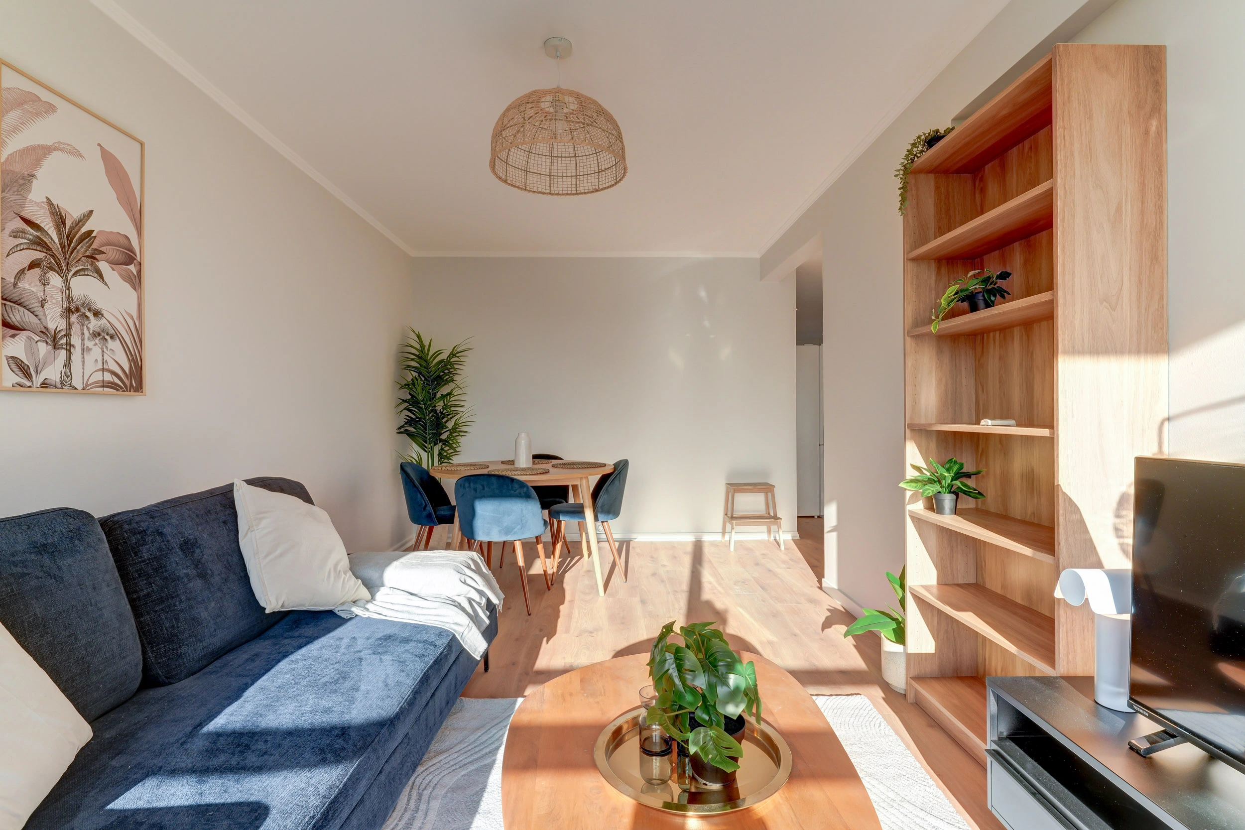 Investissement locatif colocation Catanéo
