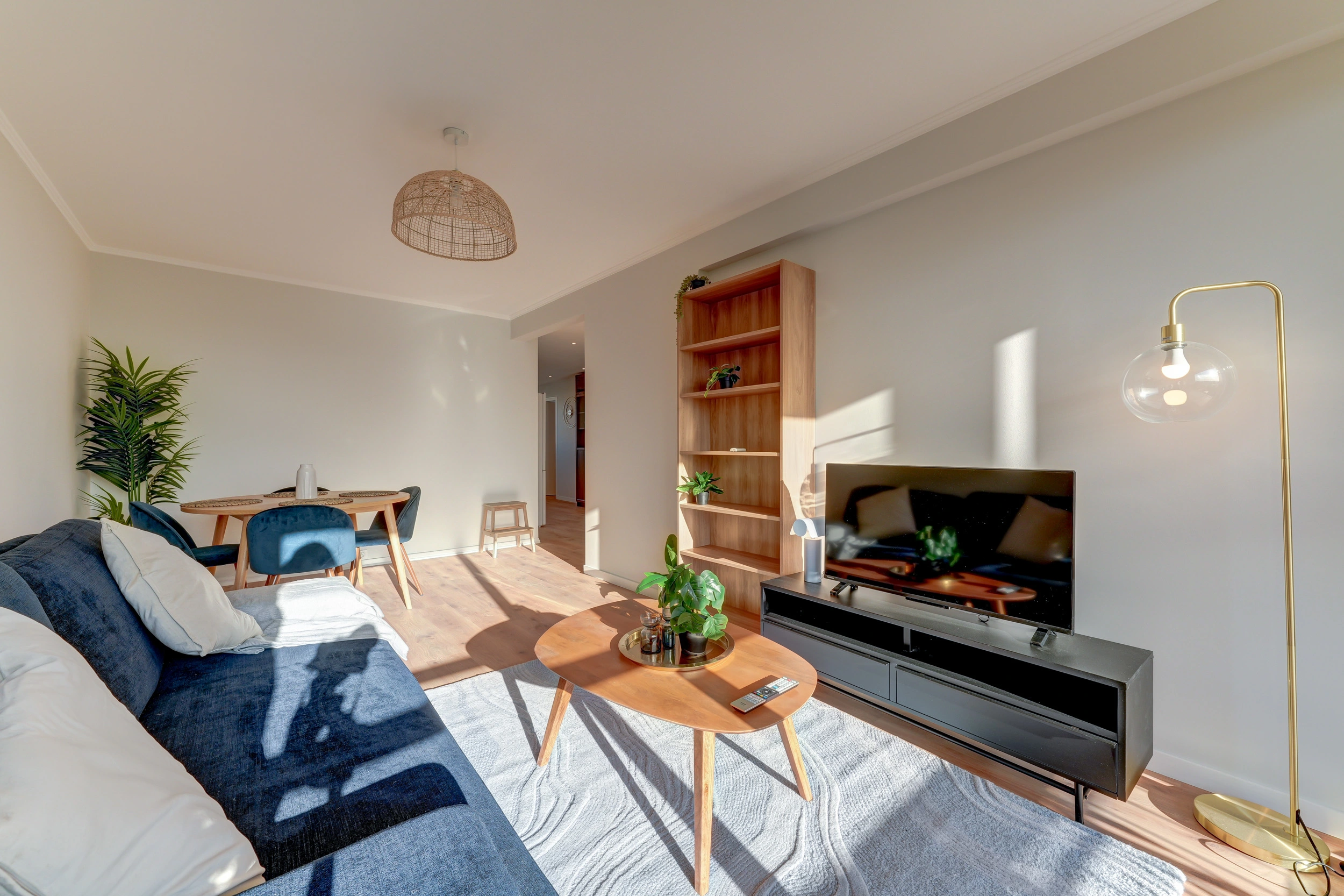 Investissement locatif colocation Catanéo