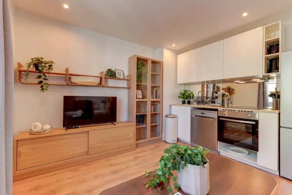 Investissement locatif colocation Villeurbanne Catanéo